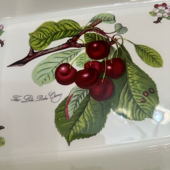 Portmeirion Pomona Late Duke Cherry Rectangular Baking Dish Large 14” Porcelain - Picture 3 of 8